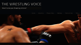 What Thewrestlingvoice.com website looked like in 2017 (6 years ago)
