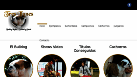 What Tresllunes.com website looked like in 2017 (6 years ago)