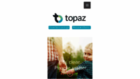 What Topazis.com website looked like in 2017 (6 years ago)