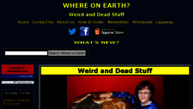 What Tellmewhereonearth.com website looked like in 2017 (6 years ago)