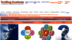 What Testbagacademy.com website looked like in 2017 (6 years ago)