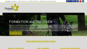 What Thesee-formation.fr website looked like in 2017 (6 years ago)