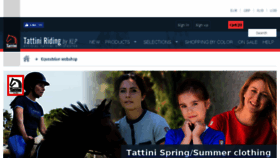 What Tattiniriding.co.uk website looked like in 2017 (6 years ago)