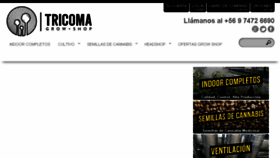 What Tricoma.cl website looked like in 2017 (6 years ago)