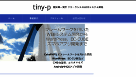What Tiny-p.com website looked like in 2017 (6 years ago)