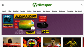 What Tumspor.com website looked like in 2017 (6 years ago)