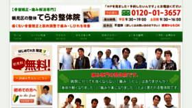 What Terao-seitai.com website looked like in 2017 (6 years ago)