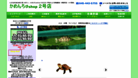 What Turtlekeeper.jp website looked like in 2017 (6 years ago)