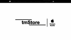 What Tmstore.info website looked like in 2017 (6 years ago)