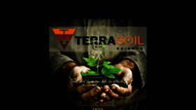 What Terrasoil.co.za website looked like in 2017 (6 years ago)
