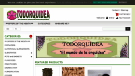 What Todorquidea.com website looked like in 2017 (6 years ago)