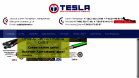 What Teslamart.ru website looked like in 2017 (8 years ago)