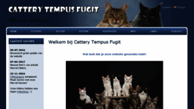 What Tempus-fugit.nl website looked like in 2017 (6 years ago)