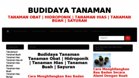What Tanamancantik.com website looked like in 2017 (6 years ago)