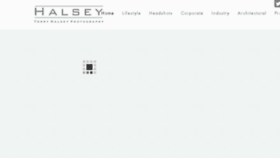 What Terryhalsey.com website looked like in 2017 (6 years ago)