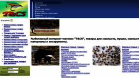 What Tics-fly.ru website looked like in 2017 (6 years ago)