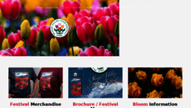 What Tulipfestival.org website looked like in 2017 (6 years ago)