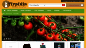 What Tirpidin.com website looked like in 2017 (6 years ago)