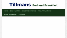 What Tillmansofmontana.com website looked like in 2017 (6 years ago)