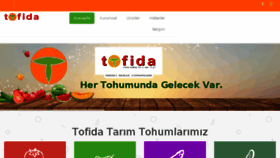 What Tofida.com website looked like in 2017 (6 years ago)