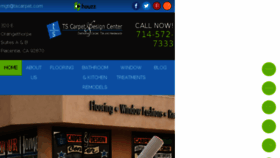 What Tscarpet.com website looked like in 2017 (6 years ago)