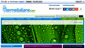 What Termeitaliane.com website looked like in 2017 (6 years ago)