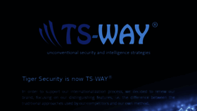 What Tigersecurity.it website looked like in 2017 (6 years ago)