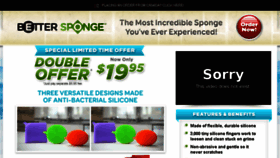 What Trybettersponge.com website looked like in 2017 (6 years ago)