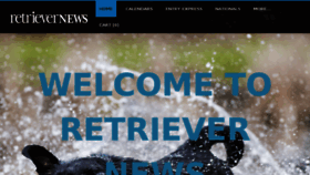What Theretrievernews.com website looked like in 2017 (6 years ago)