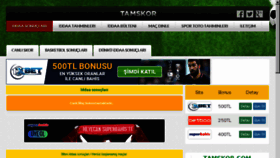 What Tamskor.com website looked like in 2017 (6 years ago)