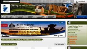 What Telo-vet.fr website looked like in 2017 (6 years ago)