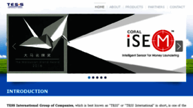 What Tessinternational.com website looked like in 2017 (6 years ago)