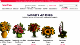 What Teleflorist.com website looked like in 2017 (6 years ago)
