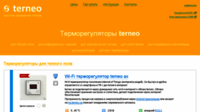 What Terneo.ua website looked like in 2017 (6 years ago)