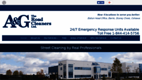 What Theroadcleaners.com website looked like in 2017 (6 years ago)