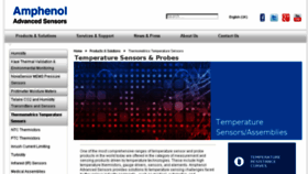 What Thermometrics.com website looked like in 2017 (6 years ago)