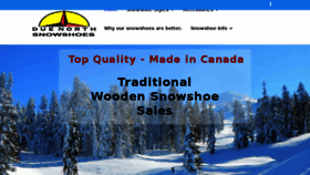 What Totalsnowshoes.com website looked like in 2017 (6 years ago)