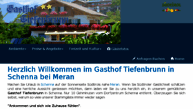 What Tiefenbrunn.com website looked like in 2017 (6 years ago)