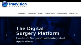 What Truevisionsys.com website looked like in 2017 (6 years ago)