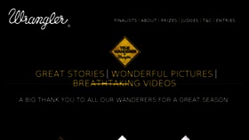 What Truewanderers.in website looked like in 2017 (7 years ago)
