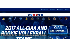 What Theciaa.com website looked like in 2017 (6 years ago)