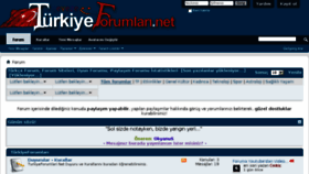 What Turkiyeforumlari.net website looked like in 2017 (6 years ago)