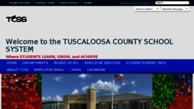 What Tcss.net website looked like in 2017 (6 years ago)
