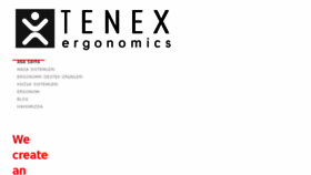 What Tenexoffice.com website looked like in 2017 (6 years ago)