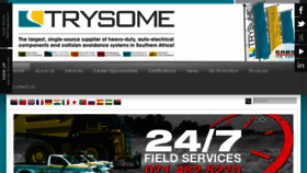 What Trysome.co.za website looked like in 2017 (6 years ago)