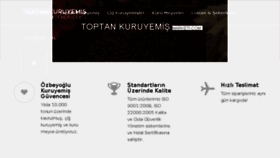What Toptankuruyemismarketi.com website looked like in 2017 (6 years ago)