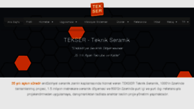 What Tekser.org website looked like in 2017 (6 years ago)