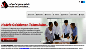What Tggumruk.com website looked like in 2018 (6 years ago)