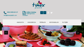 What Timexplastik.com website looked like in 2018 (6 years ago)