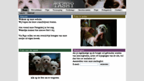 What Tashy.be website looked like in 2018 (6 years ago)